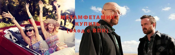PSILOCYBIN Вяземский