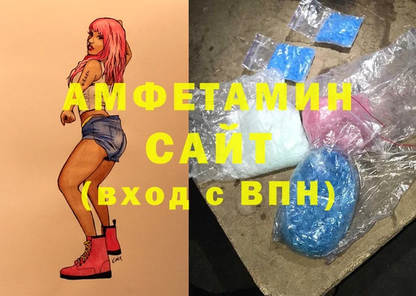 PSILOCYBIN Вяземский
