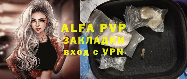 PSILOCYBIN Вяземский